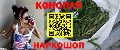шишки Шахты