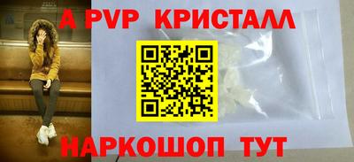 стафф Шелехов