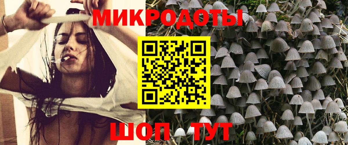 Галлюциногенные грибы Cubensis Богданович